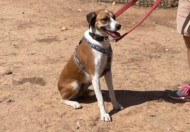 multimedia-foto84722-136-1