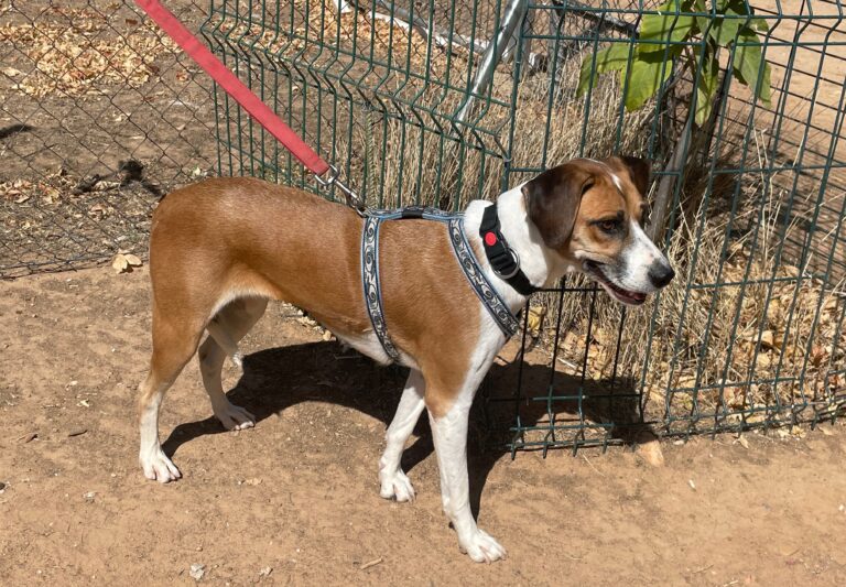 multimedia-foto84723-136-1