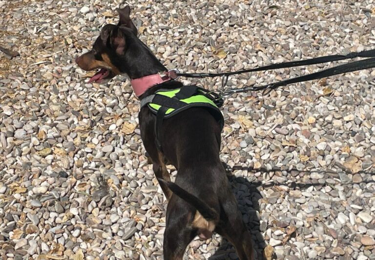 multimedia-foto84727-326-1