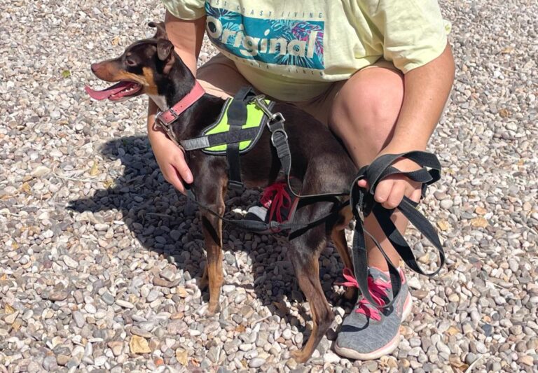 multimedia-foto84728-326-1