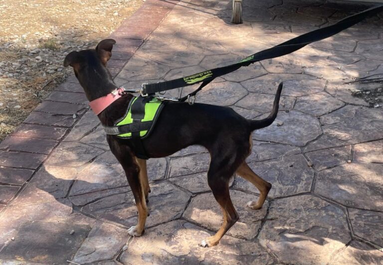 multimedia-foto84729-326-1