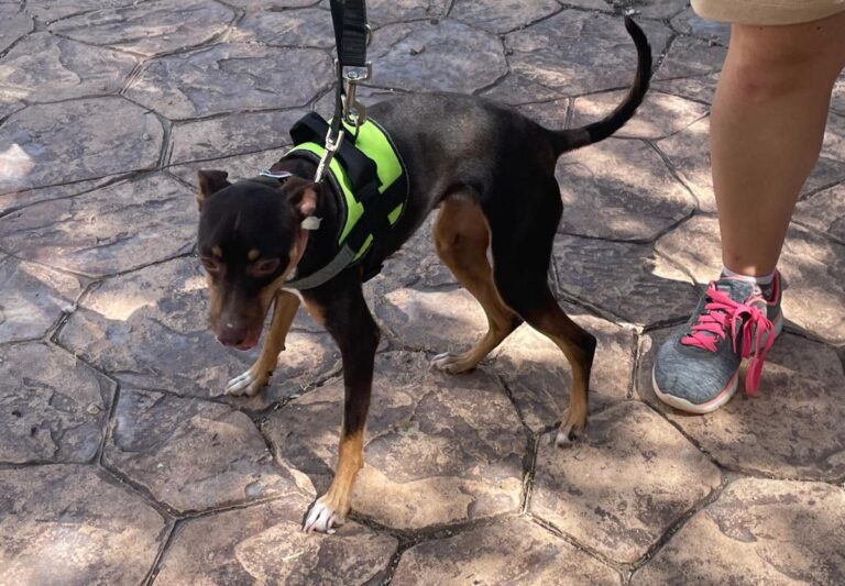 multimedia-foto84731-326-1