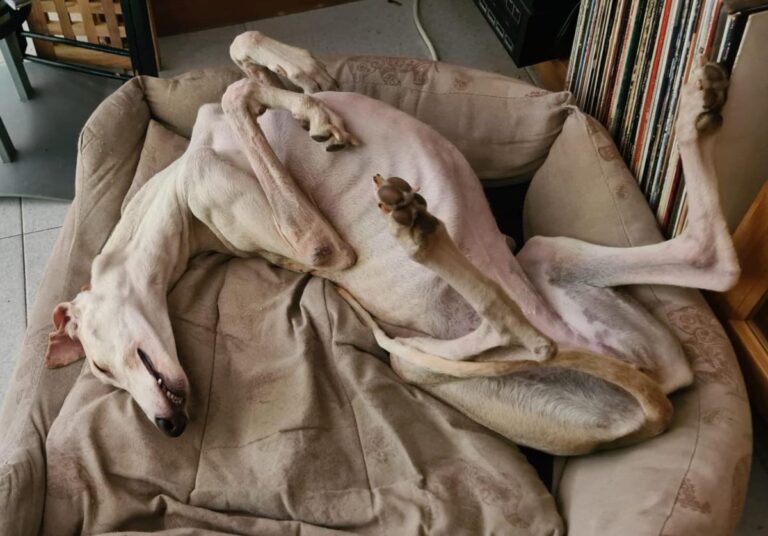 multimedia-foto84745-207-1