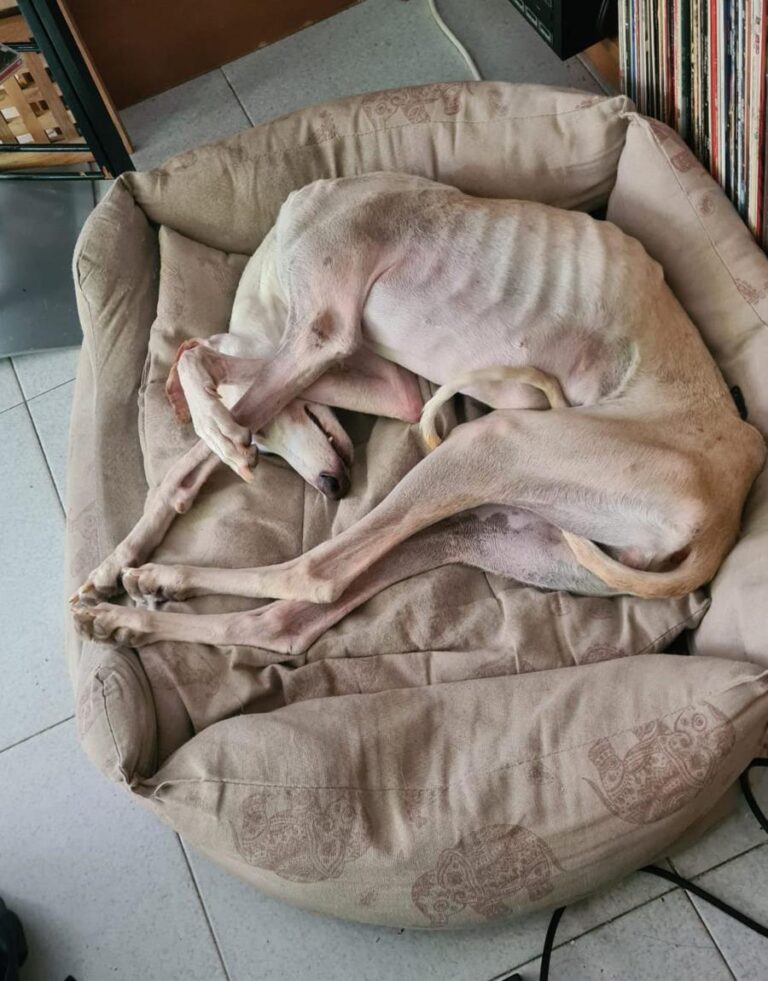 multimedia-foto84746-207-1