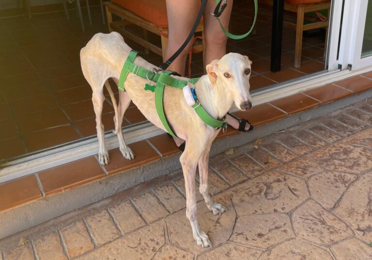 multimedia-foto84749-208-1