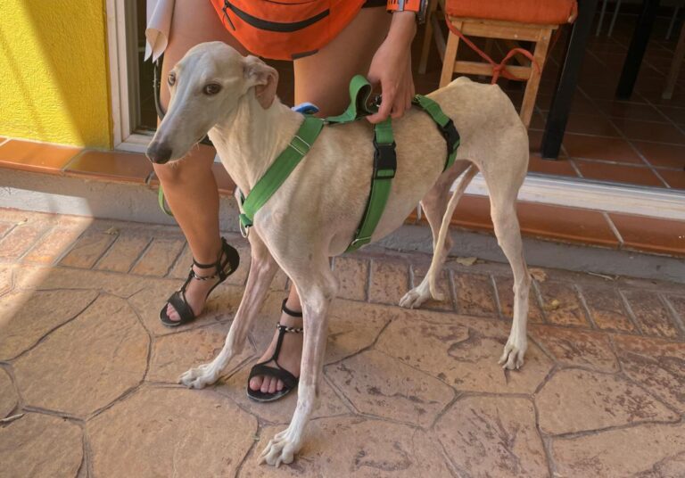 multimedia-foto84750-208-1