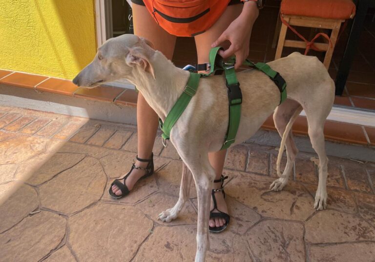 multimedia-foto84751-208-1