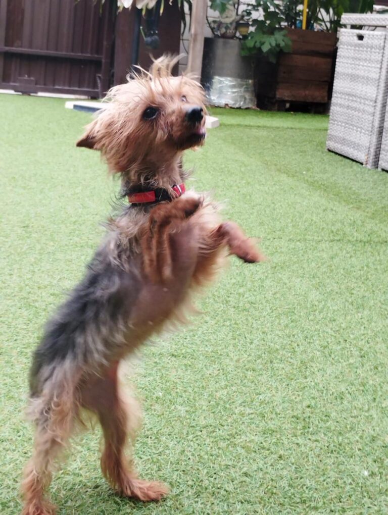 multimedia-foto84753-720-1