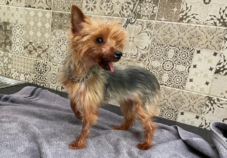 multimedia-foto84754-720-1