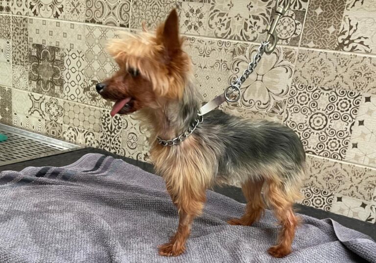 multimedia-foto84755-720-1