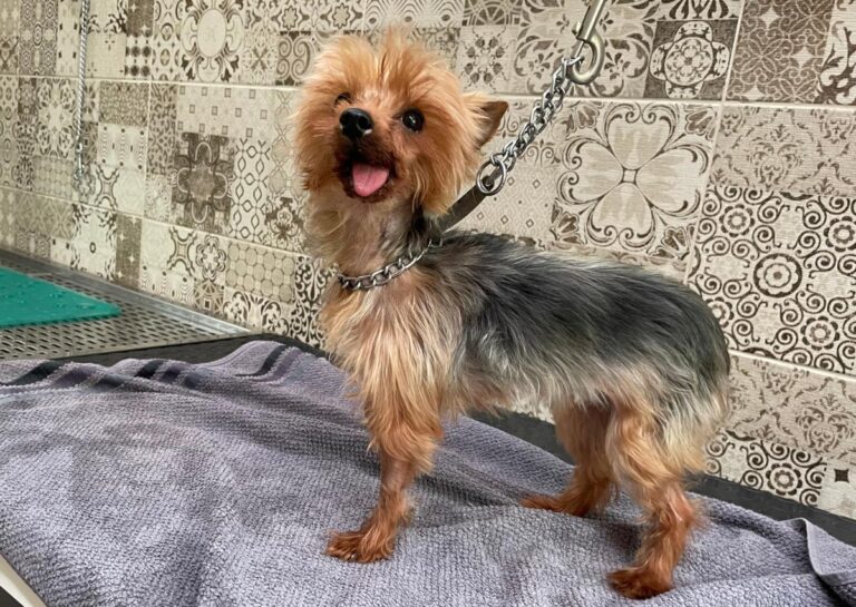 multimedia-foto84756-720-1