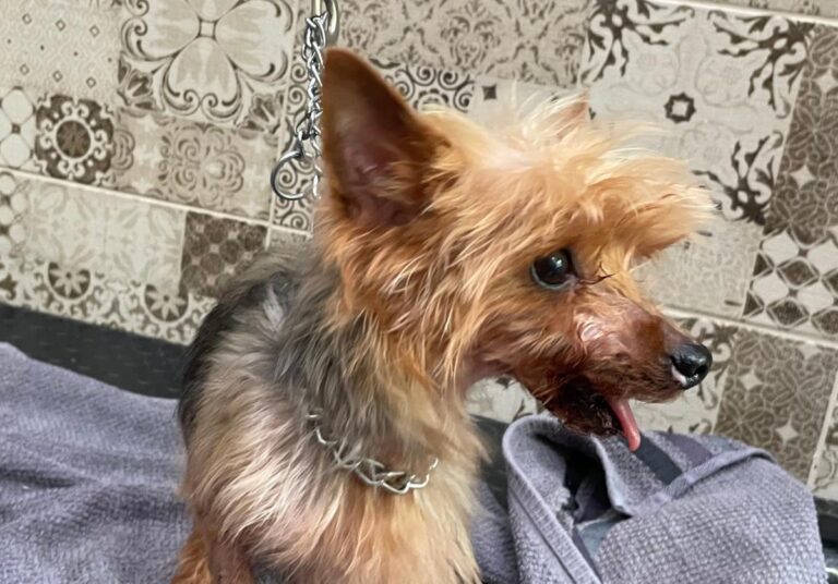 multimedia-foto84757-721-1