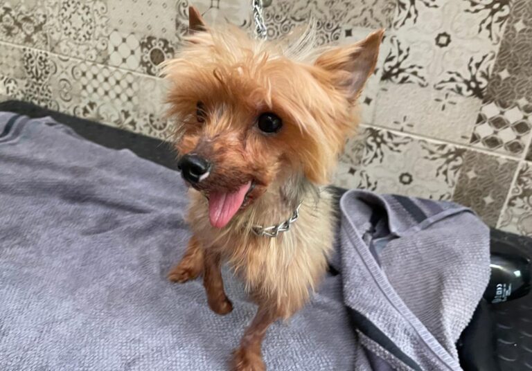 multimedia-foto84758-721-1