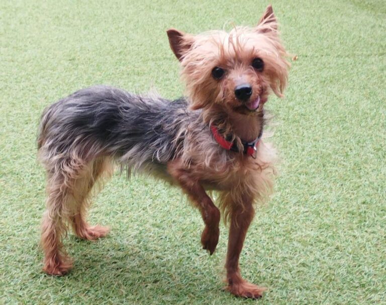 multimedia-foto84759-721-1