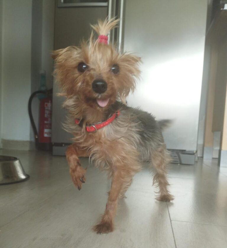 multimedia-foto84760-721-1