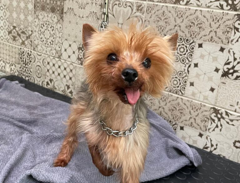 multimedia-foto84761-721-1