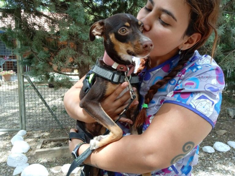 multimedia-foto84769-357-1