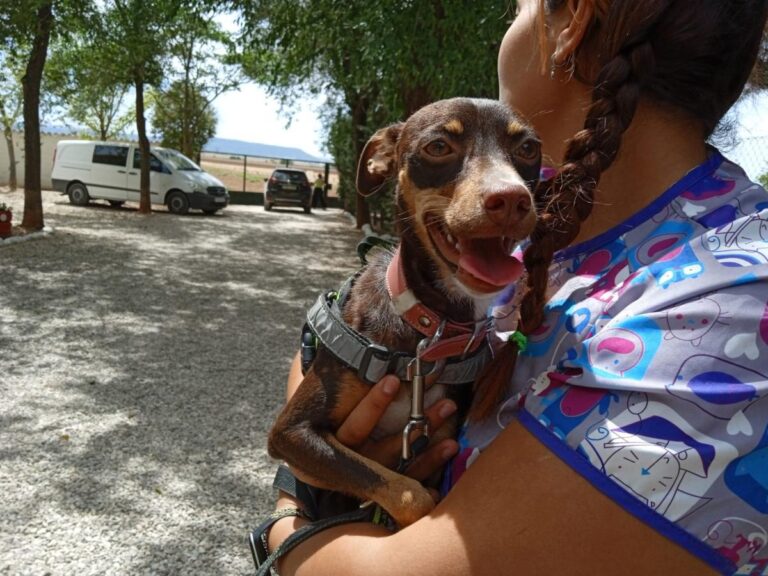 multimedia-foto84770-357-1