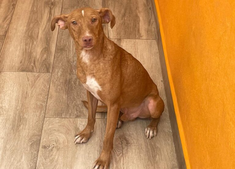 multimedia-foto84773-59-1