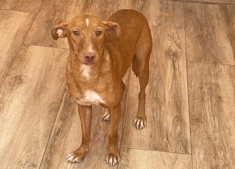 multimedia-foto84774-59-1