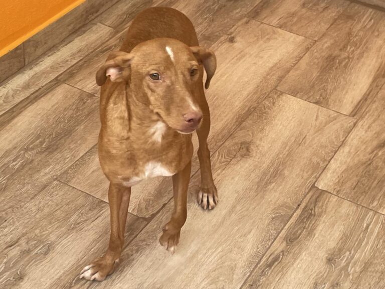 multimedia-foto84775-59-1