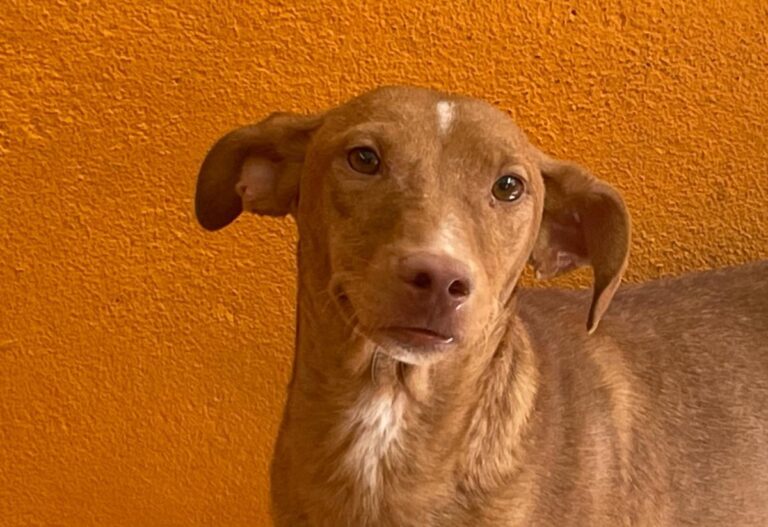 multimedia-foto84778-60-1