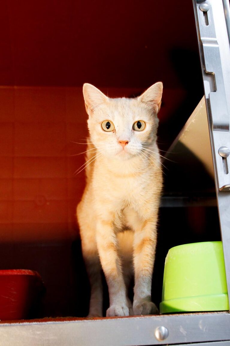 multimedia-foto84796-31-1