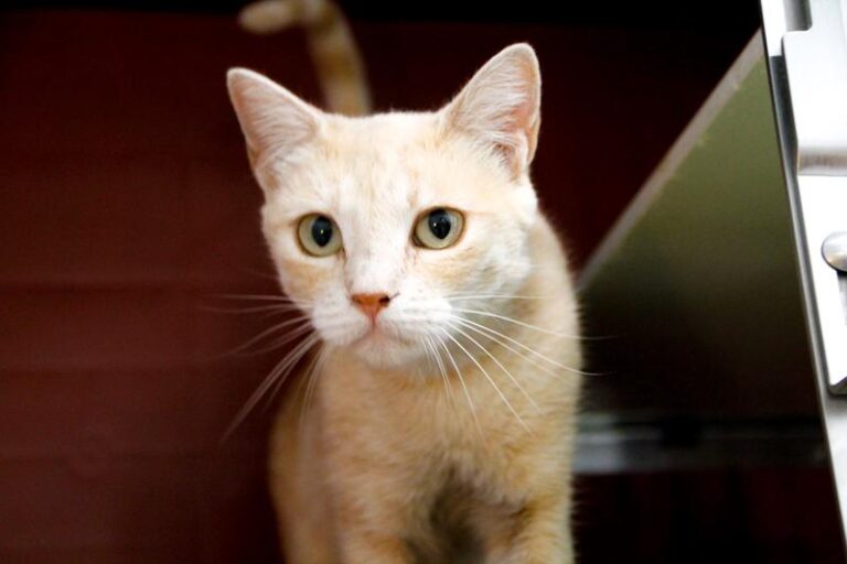 multimedia-foto84798-31-1