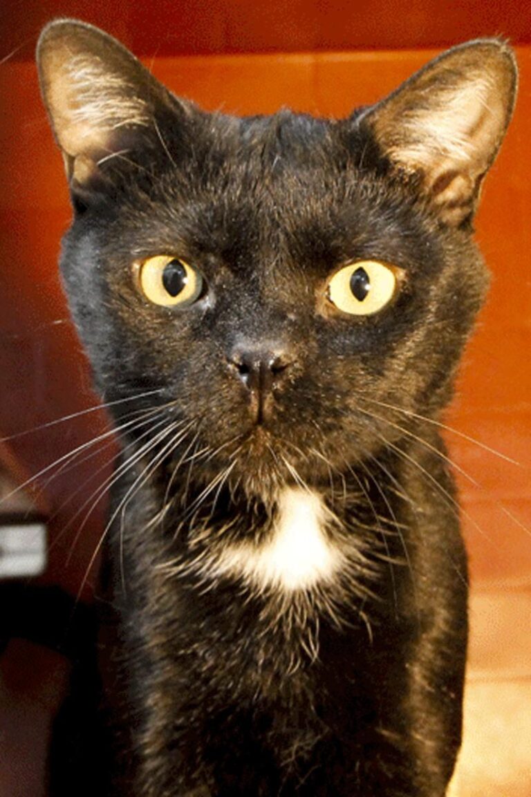 multimedia-foto84799-114-1