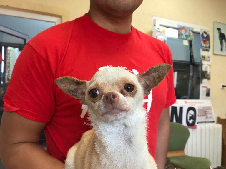 multimedia-foto84857-851-1