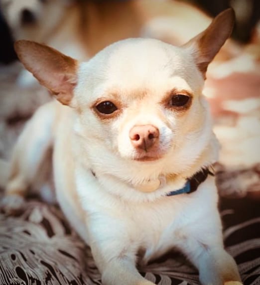 multimedia-foto84858-851-1