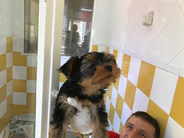 multimedia-foto84859-259-1