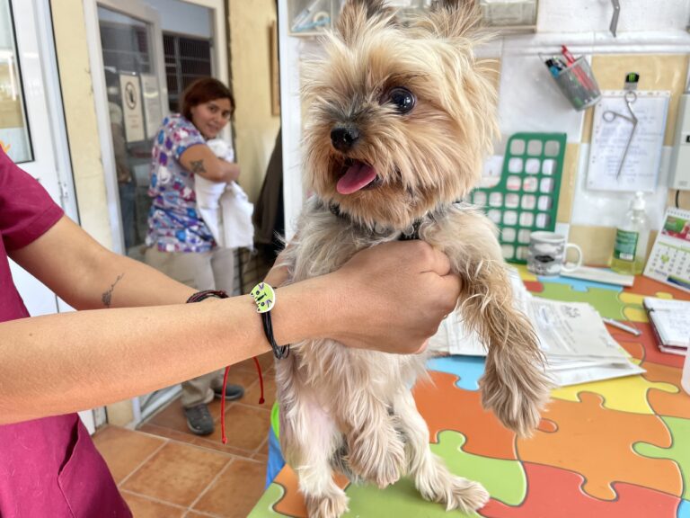 multimedia-foto84860-259-1