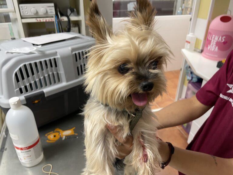 multimedia-foto84862-261-1