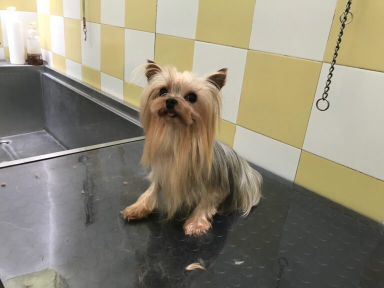 multimedia-foto84867-504-1