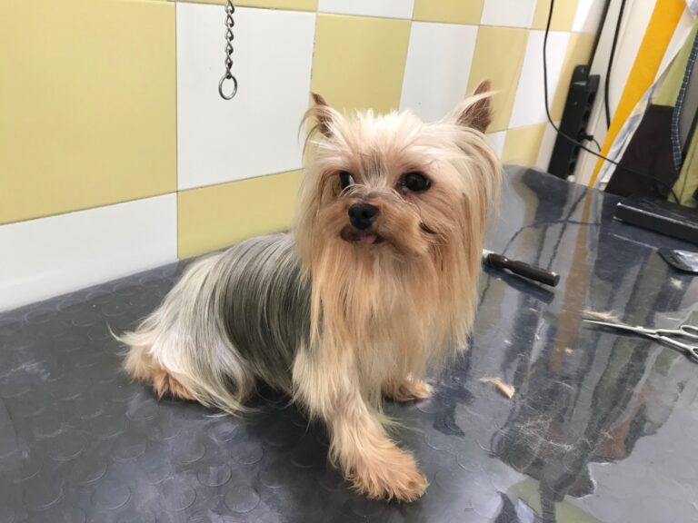 multimedia-foto84868-504-1