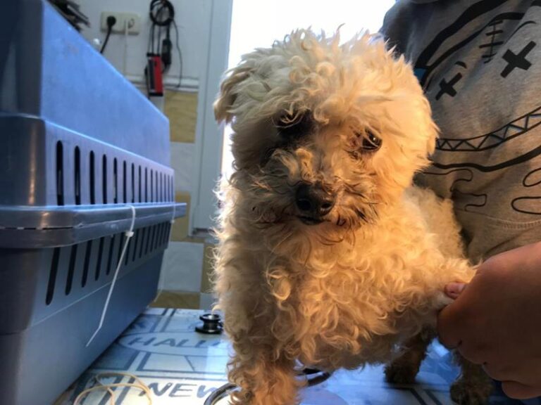 multimedia-foto84869-795-1