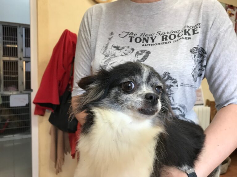 multimedia-foto84879-257-1