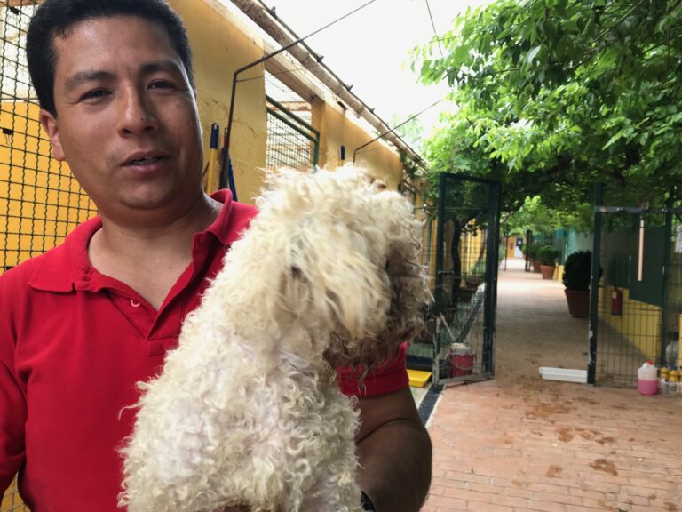 multimedia-foto84889-182-1