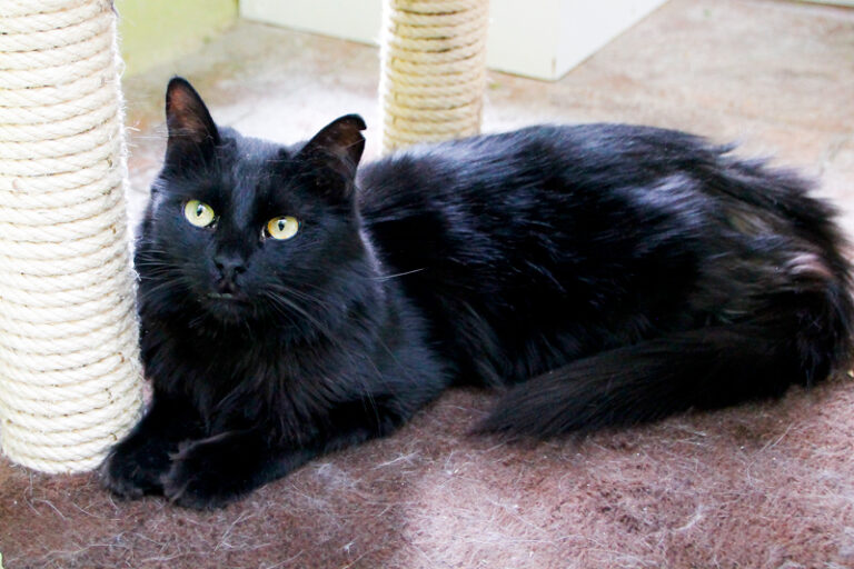 multimedia-foto84934-456-1