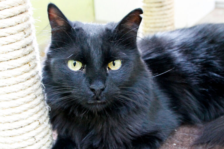 multimedia-foto84936-457-1