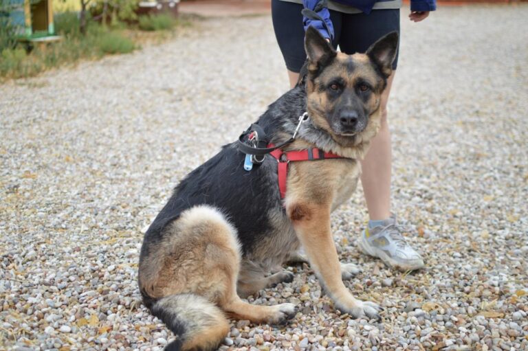 multimedia-foto85044-946-1