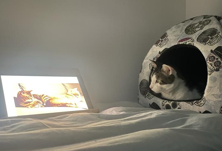 multimedia-foto85066-63-1