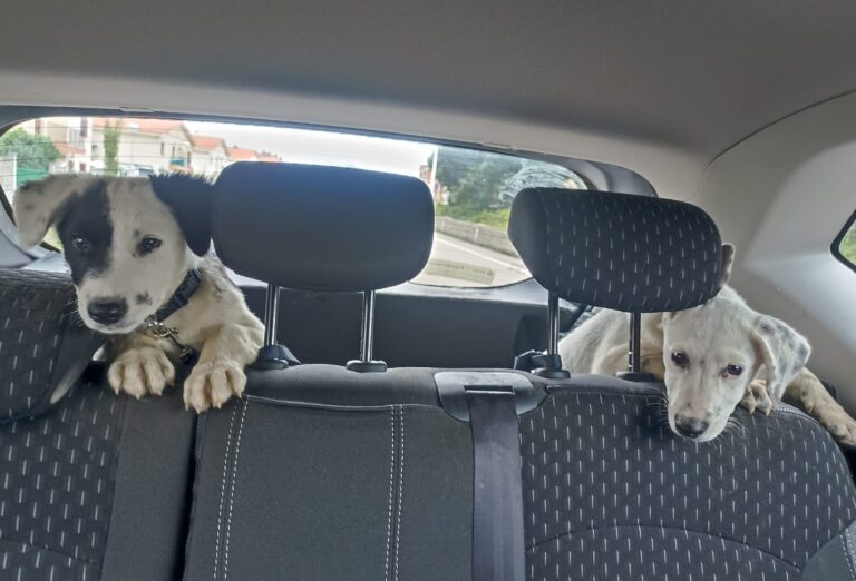 multimedia-foto85110-914-1