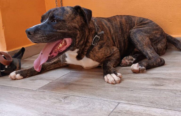 multimedia-foto85149-720-1