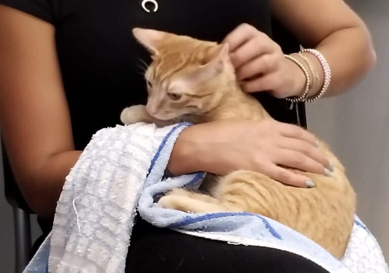 multimedia-foto85155-899-1