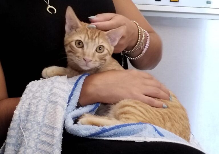 multimedia-foto85157-899-1