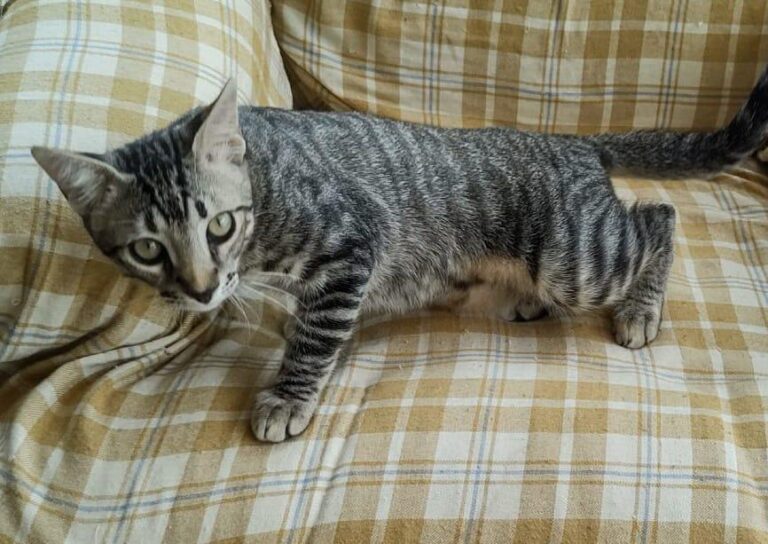 multimedia-foto85188-947-1