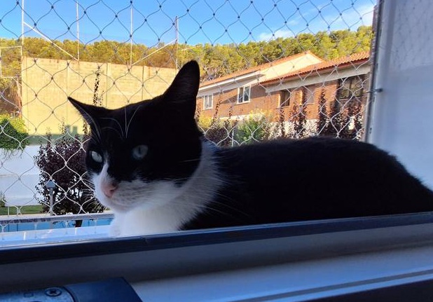 multimedia-foto85212-359-1