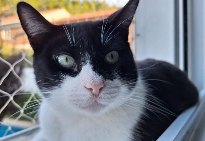 multimedia-foto85213-359-1